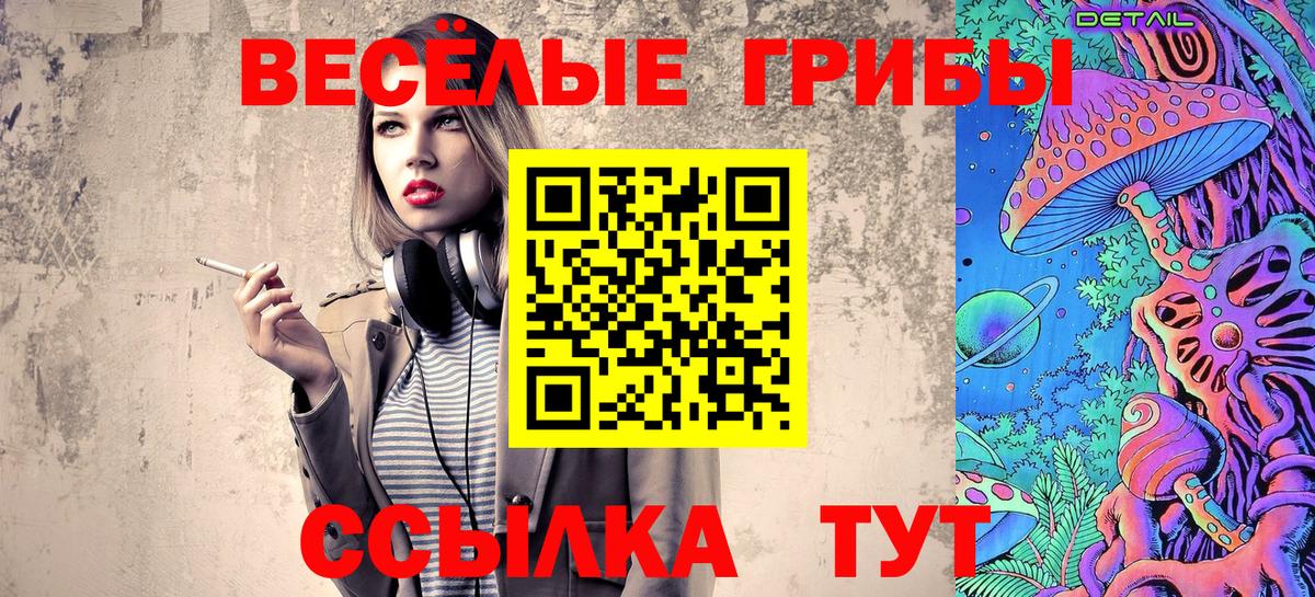 Псилоцибиновые грибы GOLDEN TEACHER Пушкино